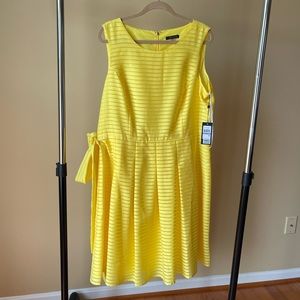 NWT Tommy Bahama Dress